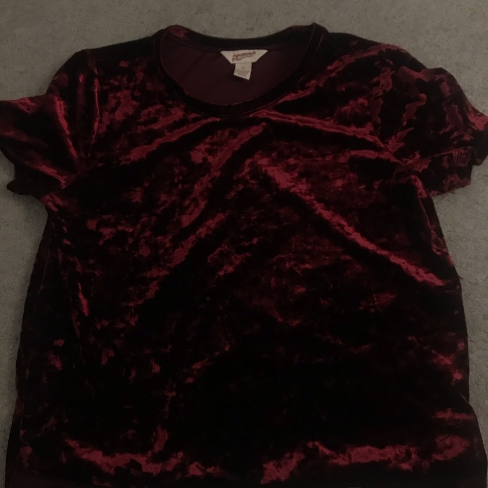 Wine Red Velvet Crop Top